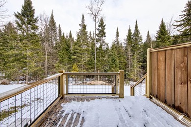 River Bend Townhomes: Newly built luxury 3 bedroom, 3.5 bathroom - photo 31