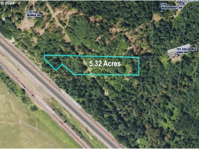(private lake, pond, creek) Lot For Sale in Woodland Washington