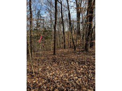 Lake Lot For Sale in Clarksville, Virginia
