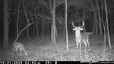 Great opportunity to own 14 acres of prime wooded hunting land - photo 12