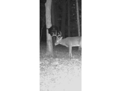Great opportunity to own 14 acres of prime wooded hunting land - photo 15