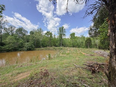 Great opportunity to own 14 acres of prime wooded hunting land - photo 17