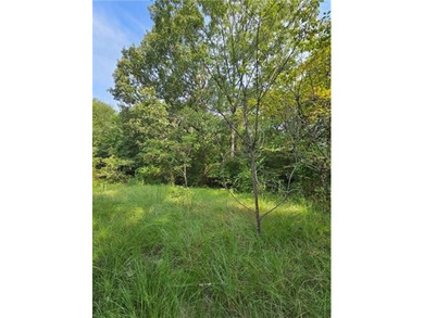 Toledo Bend Reservoir Lot For Sale in Noble Louisiana