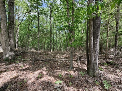 Great opportunity to own 14 acres of prime wooded hunting land - photo 21
