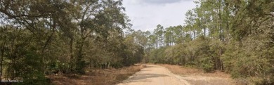 Lake Lot For Sale in Interlachen, Florida