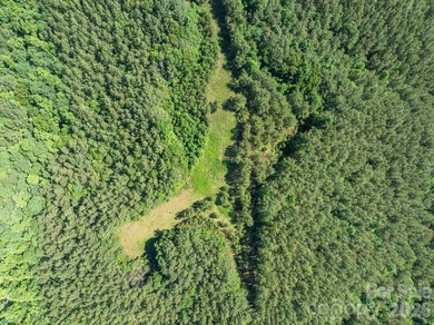 Perfectly set on nearly 350 acres of prime mountain land - photo 30