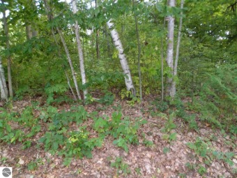 Coldwater Lake - Isabelle County Lot For Sale in Weidman Michigan