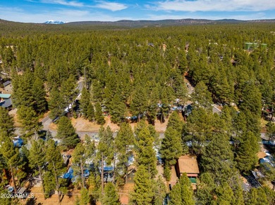 Tucked among the pines in the heart of Munds Park, this - photo 33