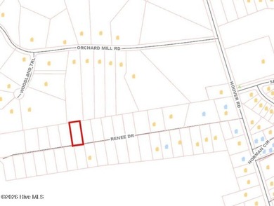 RARE OPPORTUNITY to acquire one, or all, 19 parcels in the heart - photo 3