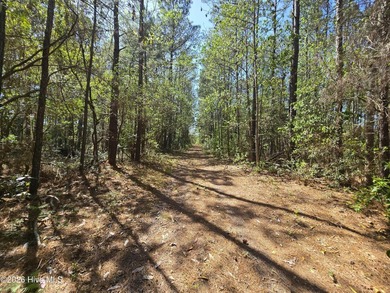 RARE OPPORTUNITY to acquire one, or all, 19 parcels in the heart - photo 6