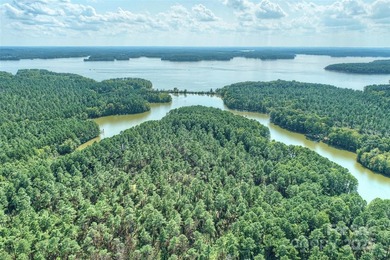 Stunning lakefront paradise - SIGNIFICANT PRICE IMPROVEMENT! - photo 1