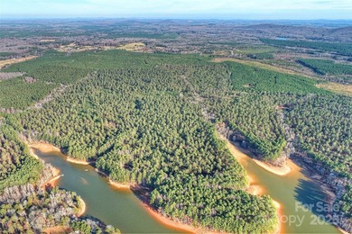 Stunning lakefront paradise - SIGNIFICANT PRICE IMPROVEMENT! - photo 8