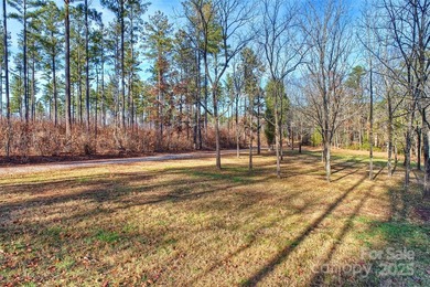 Stunning lakefront paradise - SIGNIFICANT PRICE IMPROVEMENT! - photo 9