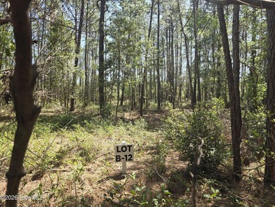 RARE OPPORTUNITY to acquire one, or all, 19 parcels in the heart - photo 2