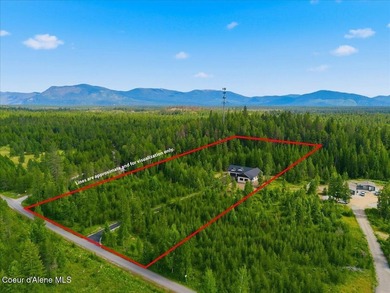 Luxury New Construction on 5 Private Wooded Acres! This - photo 3