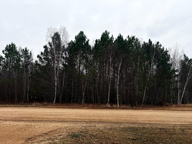The land is one block away from DNR access to Rainy River and - photo 2