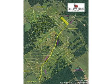 (private lake, pond, creek) Acreage For Sale in Centerville Texas