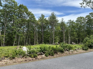 Conveniently located just 5 minutes from downtown Norway, this - photo 1