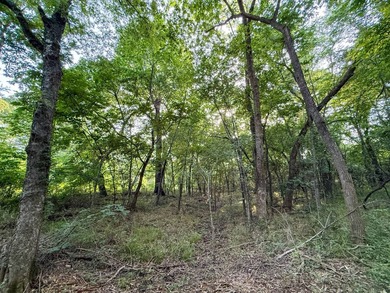 Introducing Tract 8: Come check out this 8.82+/- acre tract - photo 22