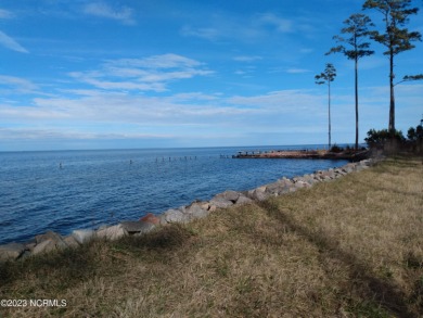 Atlantic Ocean - Albemarle Sound Acreage For Sale in Columbia North Carolina