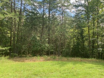 Norris Lake Lot For Sale in Washburn Tennessee