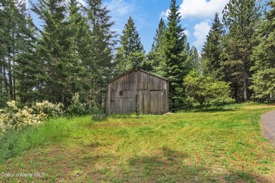 Discover your own private North Idaho retreat on 20+ acres in - photo 3