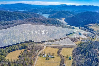 Watauga Lake Acreage Sale Pending in Butler Tennessee