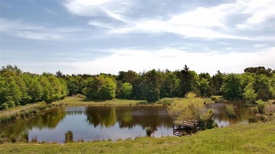 Lake Acreage For Sale in Pickton, Texas