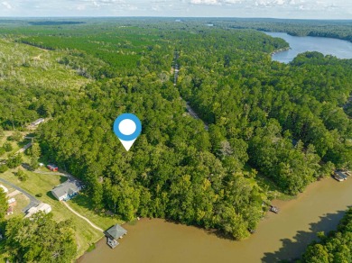 Lake Lot For Sale in Eatonton, Georgia