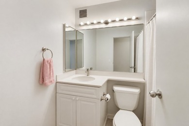 3660 N LAKE SHORE Dr 909 - photo 11