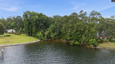 Experience the rare opportunity to build your dream lakefront - photo 13