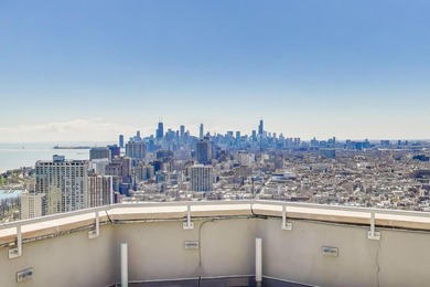 3660 N LAKE SHORE Dr 909 - photo 18