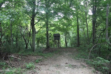 Welcome to your own private slice of paradise where outdoor - photo 28