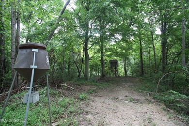 Welcome to your own private slice of paradise where outdoor - photo 29