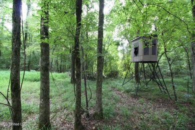 Welcome to your own private slice of paradise where outdoor - photo 48