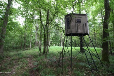 Welcome to your own private slice of paradise where outdoor - photo 51