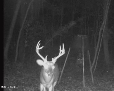 Welcome to your own private slice of paradise where outdoor - photo 58