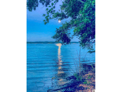 Wake up to breathtaking waterfront views on Kentucky Lake's main - photo 13