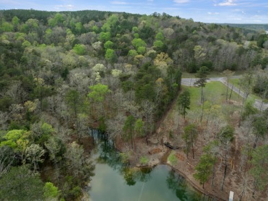 Lot 28 Sipsey Overlook is your escape to a  peaceful getaway in - photo 13