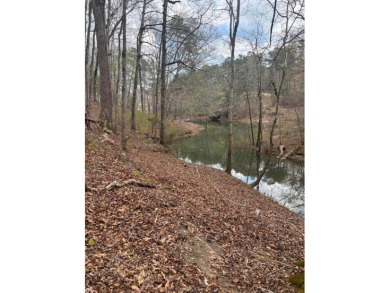 Lot 28 Sipsey Overlook is your escape to a  peaceful getaway in - photo 16