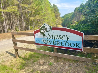 Lot 28 Sipsey Overlook is your escape to a  peaceful getaway in - photo 17