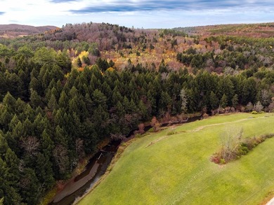 Explore the opportunity of this 60 Acre parcel which is - photo 8