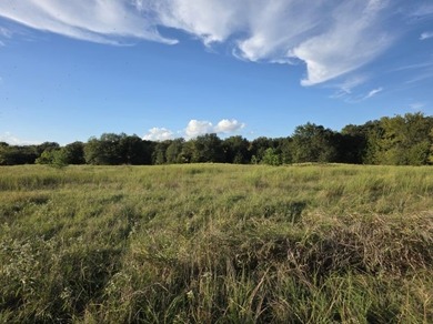 Highlights: - over 35 acres of gently rolling pastureland - photo 13