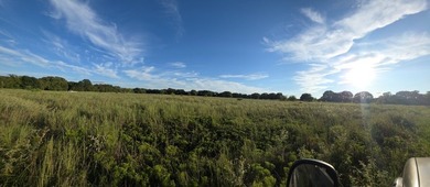 Highlights: - over 35 acres of gently rolling pastureland - photo 14