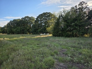 Highlights: - over 35 acres of gently rolling pastureland - photo 15