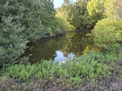 Highlights: - over 35 acres of gently rolling pastureland - photo 16
