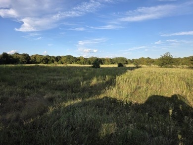 Highlights: - over 35 acres of gently rolling pastureland - photo 17