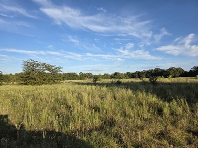 Highlights: - over 35 acres of gently rolling pastureland - photo 18