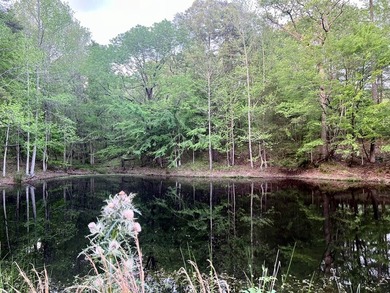 Looking for a hunting, fishing, and outdoor-loving oasis that is - photo 9