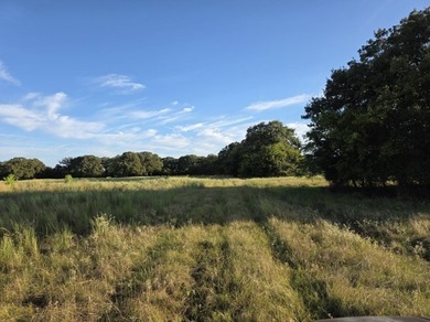 Highlights: - over 35 acres of gently rolling pastureland - photo 19